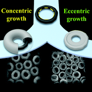 Graphical abstract: Synthesis of morphology controlled PtAu@Ag nanorings through concentric and eccentric growth pathways