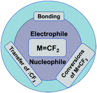 Graphical abstract: Transition-metal difluorocarbene complexes