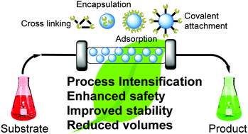 Graphical abstract: Immobilisation and flow chemistry: tools for implementing biocatalysis