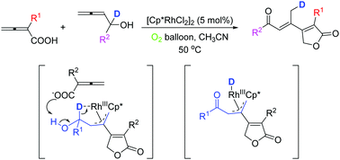 Graphical abstract: Rh-Catalyzed cyclization of 2,3-allenoic acids in the presence of 2,3-allenols