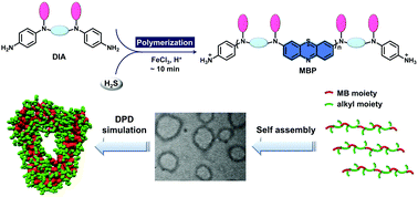 Graphical abstract: One pot synthesis and self-assembly of methylene blue-backboned polymers