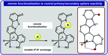 Graphical abstract: Modulation of H+/H− exchange in iridium-hydride 2-hydroxypyridine complexes by remote Lewis acids