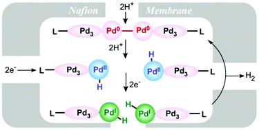 Graphical abstract: Electrochemical hydrogen formation catalysed by a Pd8 string