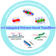 Graphical abstract: π-Conjugated-polymer-based nanofibers through living crystallization-driven self-assembly: preparation, properties and applications