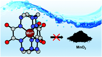 Graphical abstract: Expanding manganese(iv) aqueous chemistry: unusually stable water-soluble hexahydrazide clathrochelate complexes