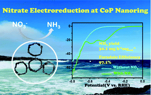Graphical abstract: Cobalt phosphide nanorings towards efficient electrocatalytic nitrate reduction to ammonia