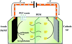 Graphical abstract: Electrocatalytic reforming of waste plastics into high value-added chemicals and hydrogen fuel