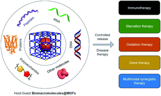 Graphical abstract: Metal–organic frameworks (MOFs) as host materials for the enhanced delivery of biomacromolecular therapeutics