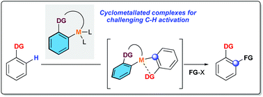 Graphical abstract: Cyclometallated complexes as catalysts for C–H activation and functionalization