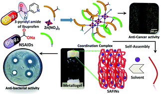 Graphical abstract: Multi-NSAID-based Zn(ii) coordination complex-derived metallogelators/metallogels as plausible multi-drug self-delivery systems