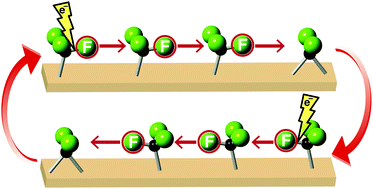Graphical abstract: Reversible 1D chain-reaction gives rise to an atomic-scale Newton's cradle