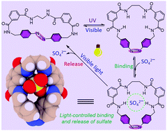 Graphical abstract: Photoresponsive macrocycles for selective binding and release of sulfate