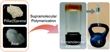 Graphical abstract: Adhesion behaviour of bulk supramolecular polymers via pillar[5]arene-based molecular recognition
