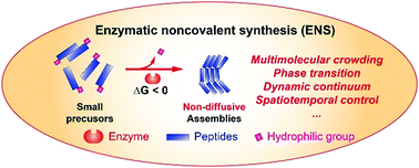 Graphical abstract: Enzymatic noncovalent synthesis of peptide assemblies generates multimolecular crowding in cells for biomedical applications