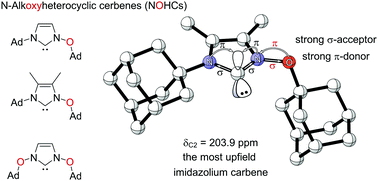 Graphical abstract: N-Alkoxyimidazolylidines (NOHCs): nucleophilic carbenes based on an oxidized imidazolium core