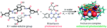 Graphical abstract: Molecular recognition and photoprotection of riboflavin in water by a biomimetic host