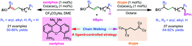 Graphical abstract: Ligand-controlled cobalt-catalyzed remote hydroboration and alkene isomerization of allylic siloxanes