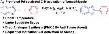 Graphical abstract: Room temperature HFIP/Ag-promoted palladium-catalyzed C–H functionalization of benzothiazole with iodoarenes
