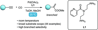 Graphical abstract: Room-temperature Pd-catalyzed methoxycarbonylation of terminal alkynes with high branched selectivity enabled by bisphosphine-picolinamide ligand