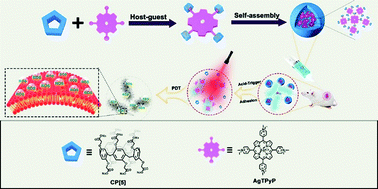 Graphical abstract: A carboxylatopillar[5]arene-based pH-triggering supramolecular photosensitizer for enhanced photodynamic antibacterial efficacy