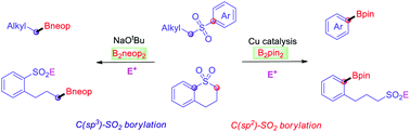 Graphical abstract: Cu-mediated vs. Cu-free selective borylation of aryl alkyl sulfones