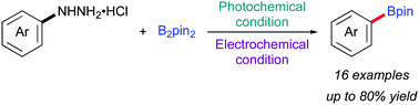 Graphical abstract: Photochemical and electrochemical C–N borylation of arylhydrazines