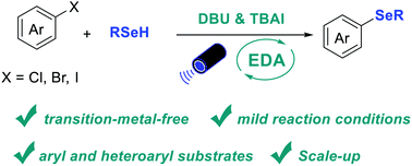 Graphical abstract: Metal-free C–Se cross-coupling enabled by photoinduced inter-molecular charge transfer