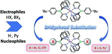 Graphical abstract: Electrophilic and nucleophilic displacement reactions at the bridgehead borons of tris(pyridyl)borate scorpionate complexes