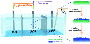 Graphical abstract: Recent advances in the pre-oxidation process in electrocatalytic urea oxidation reactions