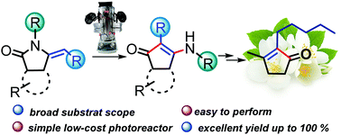Graphical abstract: Photo-Fries-type rearrangement of cyclic enamides. An efficient route to structurally diverse five-membered enaminones