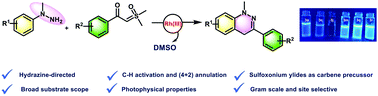 Graphical abstract: A hydrazine-directed Rh(iii) catalyzed (4+2) annulation with sulfoxonium ylides: synthesis and photophysical properties of dihydrocinnolines