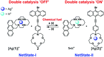 Graphical abstract: Concurrent base and silver(i) catalysis pulsed by fuel acid
