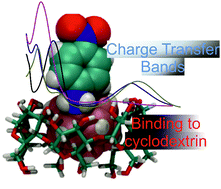 Graphical abstract: Binding affinity of aniline-substituted dodecaborates to cyclodextrins