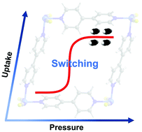Graphical abstract: Acetylene storage performance of [Ni(4,4′-bipyridine)2(NCS)2]n, a switching square lattice coordination network