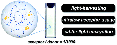 Graphical abstract: An ultralow-acceptor-content supramolecular light-harvesting system for white-light emission