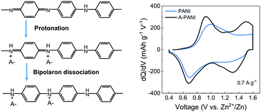 Graphical abstract: Protonating imine sites of polyaniline for aqueous zinc batteries