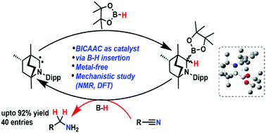 Graphical abstract: Bicyclic (alkyl)(amino)carbene (BICAAC) as a metal-free catalyst for reduction of nitriles to amines