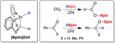 Graphical abstract: Synthesis of bis(2-pyridylthio)methyl zinc hydride and catalytic hydrosilylation and hydroboration of CO2