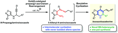 Graphical abstract: Synthesis of isoxazoloazaborines via gold(i)-catalyzed propargyl aza-Claisen rearrangement/borylative cyclization cascade