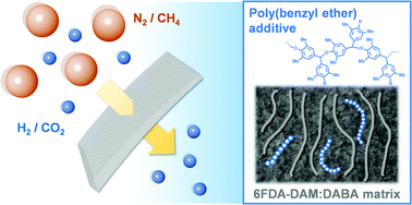 Graphical abstract: Poly(benzyl ether)-type additive to engineer glassy polyimide membranes for enhanced gas separations