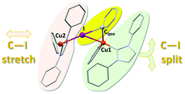 Graphical abstract: Copper(i) activation of C–X bonds: bimolecular vs. unimolecular reaction mechanism