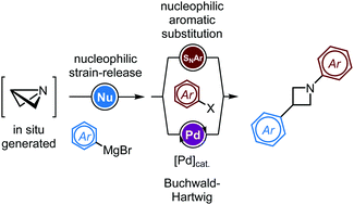 Graphical abstract: Strain-release arylations for the bis-functionalization of azetidines