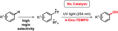 Graphical abstract: TEMPO-mediated late stage photochemical hydroxylation of biaryl sulfonium salts