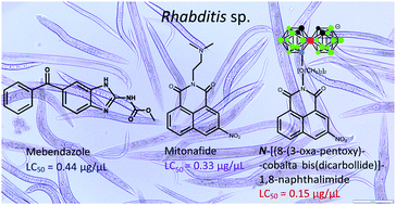 Graphical abstract: Nematicidal activity of naphthalimide–boron cluster conjugates