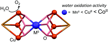 Graphical abstract: Serendipitous formation of oxygen-bridged CuII6M (M = MnII, CoII) double cubanes showing electrocatalytic water oxidation