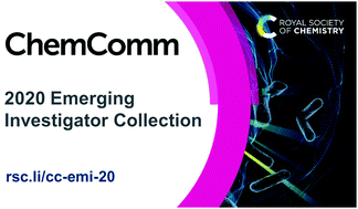 Graphical abstract: Contributors to the Emerging Investigators Collection 2020