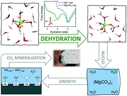 Graphical abstract: New insights into the role of solution additive anions in Mg2+ dehydration: implications for mineral carbonation