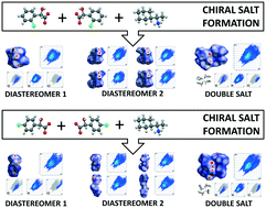 Graphical abstract: A bug in enantiomer separation: double salt formation – diastereomeric and double salt structures of 1-cyclohexylethylammonium 2- and 4-chloromandelate