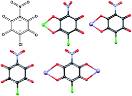 Graphical abstract: Nitrochloranilic acid: a novel asymmetrically substituted quinoid bridging ligand for design of coordination polymers