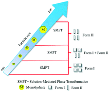 Graphical abstract: Size-dependent solution-mediated phase transformation of piroxicam monohydrate particles